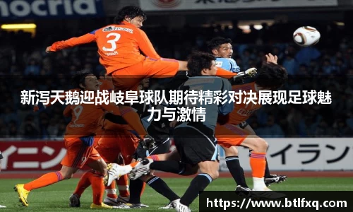 新泻天鹅迎战岐阜球队期待精彩对决展现足球魅力与激情